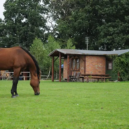 Nadmorskie Zacisze بيت خشبي ميلنو