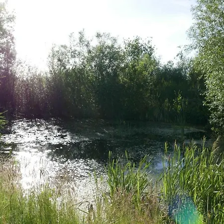 Nadmorskie Zacisze Domek letniskowy Mielno (Koszalin)