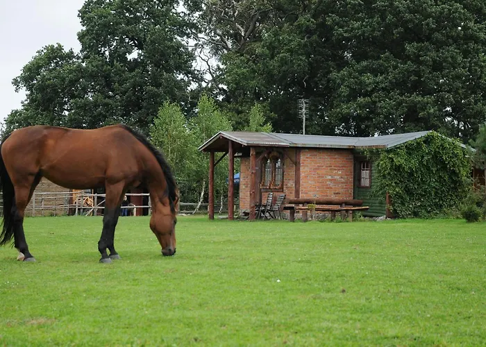 Nadmorskie Zacisze Lodge Mielno (Koszalin)