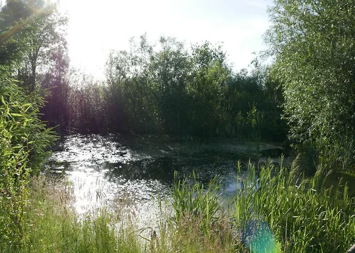 Nadmorskie Zacisze Lodge Mielno (Koszalin)